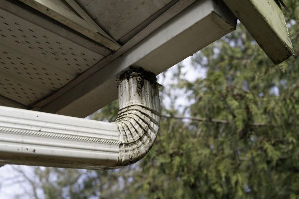 Cost of Roof Drain Replacement in Dade City